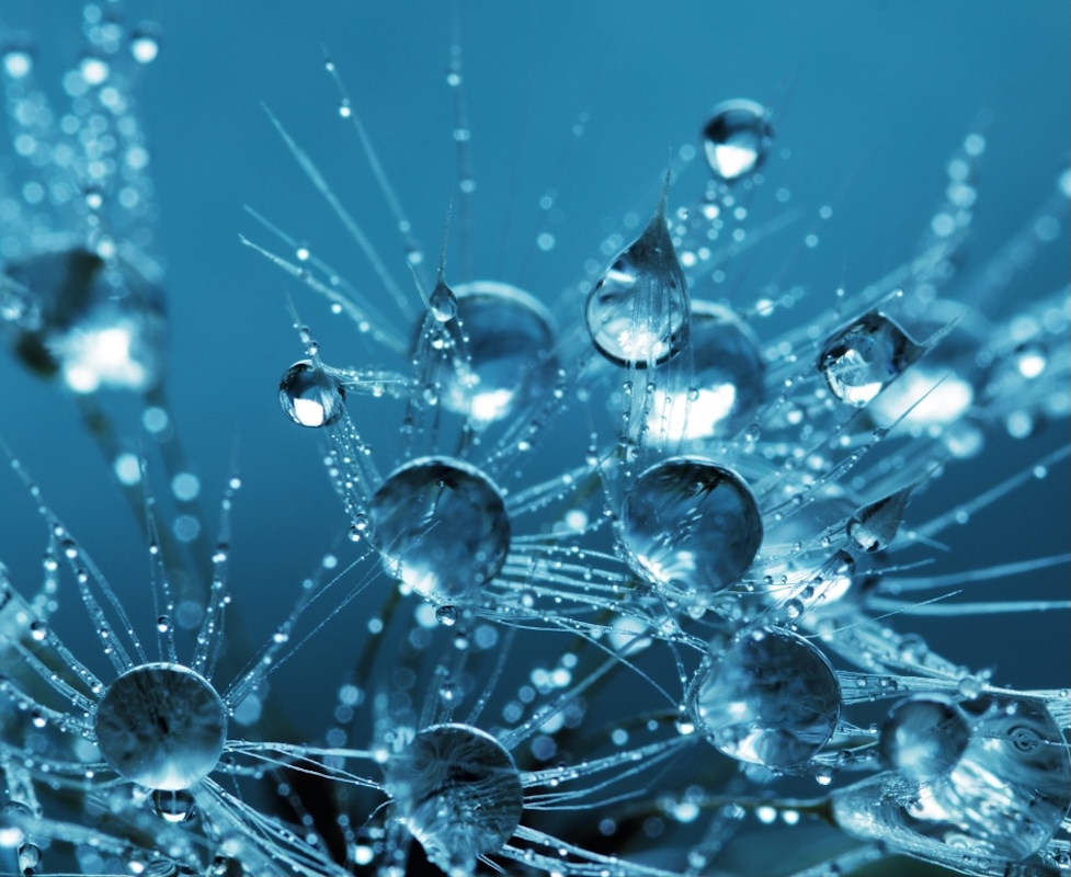 HOME PAGE DAMAMED – 4